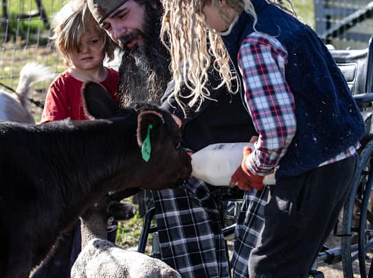 Family bottle feeding calf