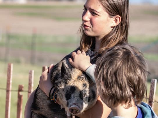 Kids holding and petting pig.